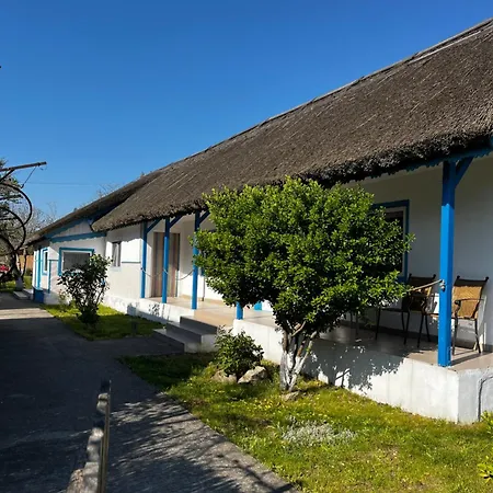 Casa 9 *