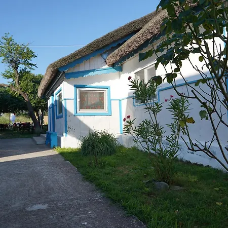 Casa 9